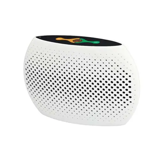 Snapsafe Dehumidifier Large Rechargeable 110V