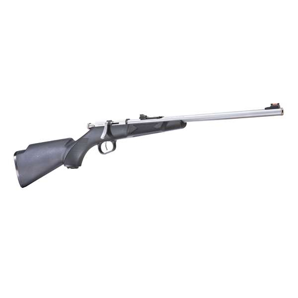 Hen Mini Bolt 22LR Sng Shot Ss