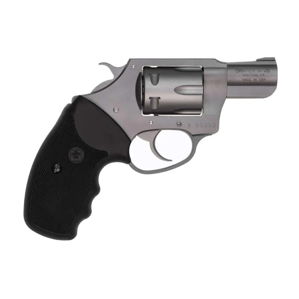 Charter Arms Pathfinder .22 Lr 8-ROUND Stainless Revolver