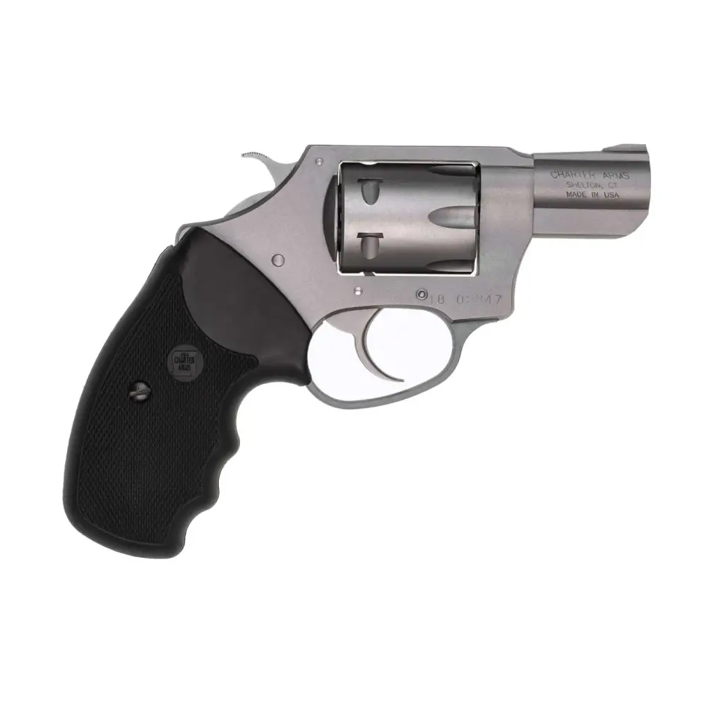 Charter Arms Pathfinder 22WMR 2 Stainless Steel 6-ROUND Revolver