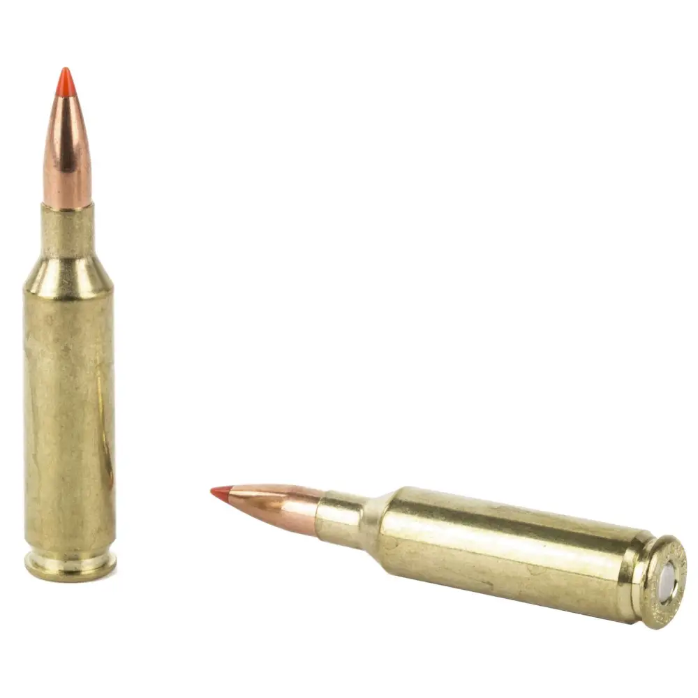 Hornady Varmint Express 6MM Creedmoor 87 Gr V-max 20 Round Box - Image 3