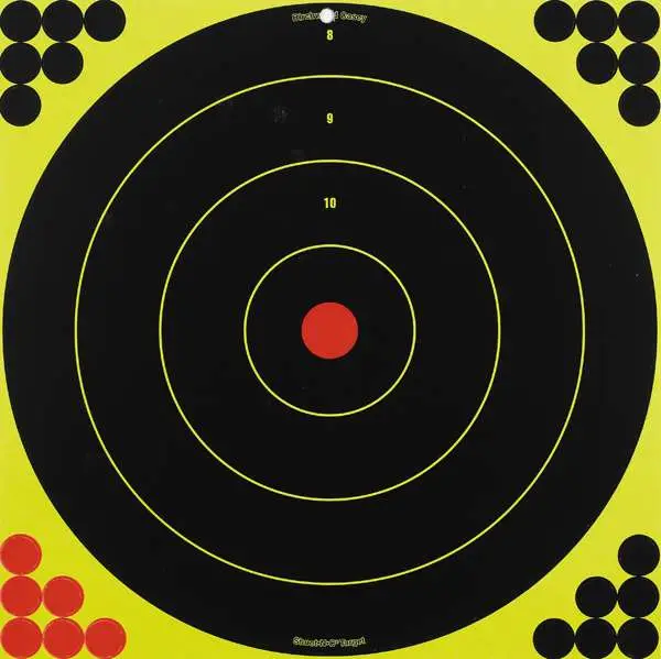 Birchwood Casey Shoot-n-c 17.25 Bullseye Target - 5 Pack