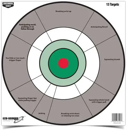 Birchwood Casey Eze-scorer 12 Handgun Trainer Target 13-PK
