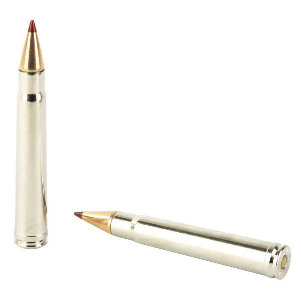 Hornady Outfitter 375 H&h Mag 250 Gr Cx Otf 20 Rounds - Image 3