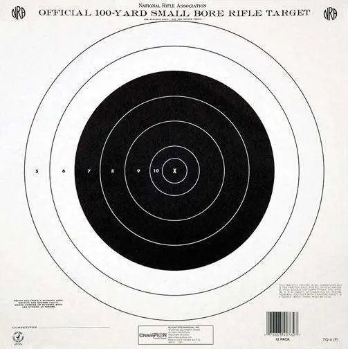 Champion Nra Target GTQ4 100YD Single Bullseye 12PK