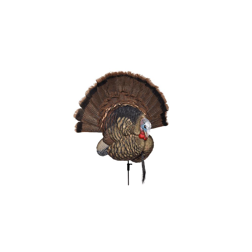 Avian X Trophy Tom Multi-color Turkey Decoy