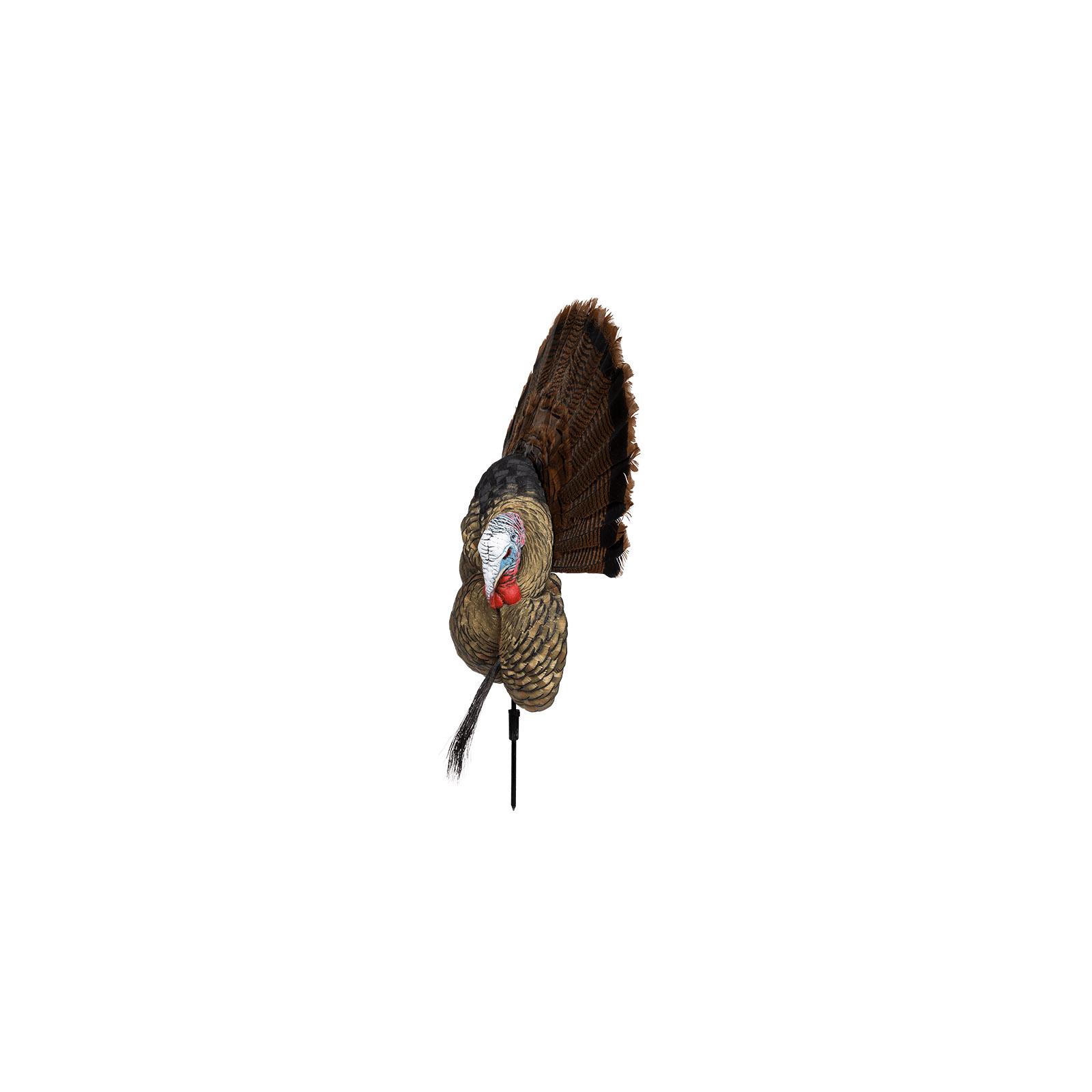 Avian X Trophy Tom Multi-color Turkey Decoy - Image 4