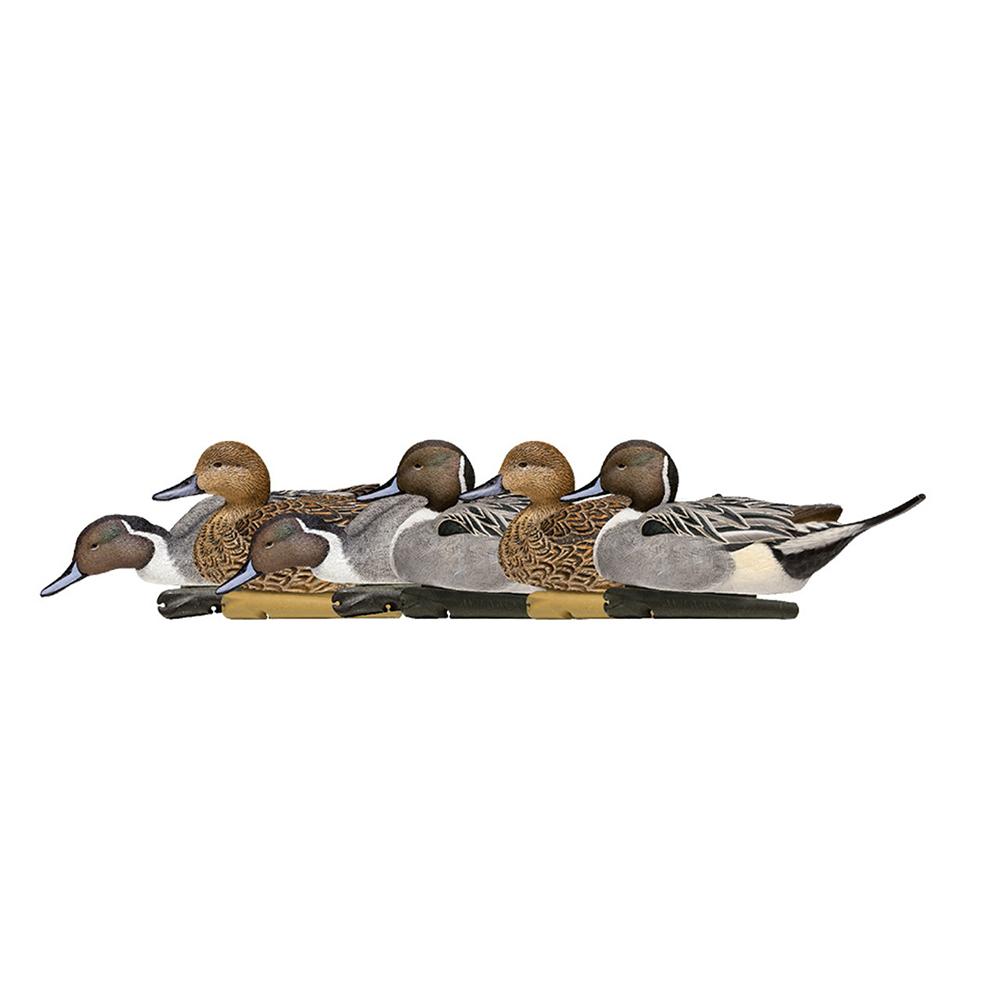 Avian Topflight Floating Pintails Duck Decoys 6 Pack