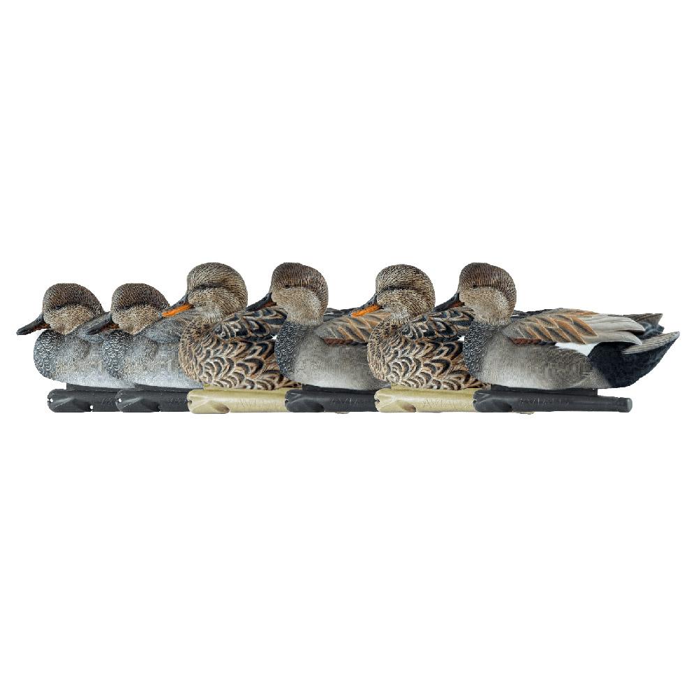 Avian X Top Flight Gadwall Duck Decoys 6 Pack