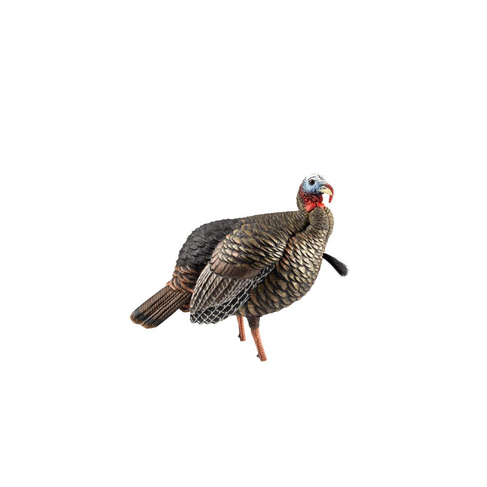 Avian X Hdr Jake Turkey Decoy Multi Color