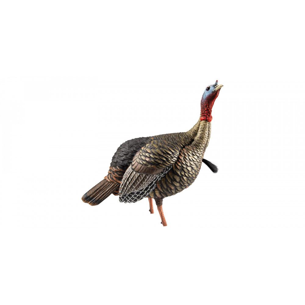 Avian X Hdr Jake Turkey Decoy Multi Color - Image 2