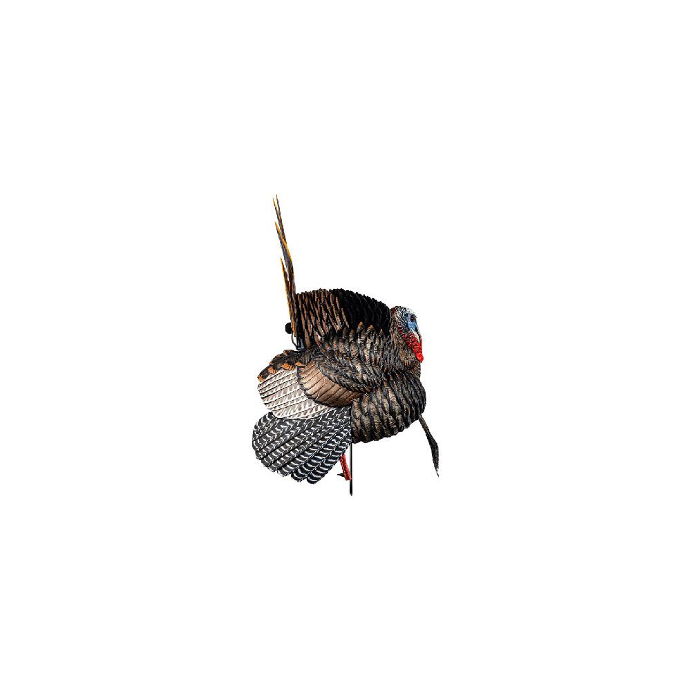 Avian X Hdr Strutter Turkey Decoy - Image 4