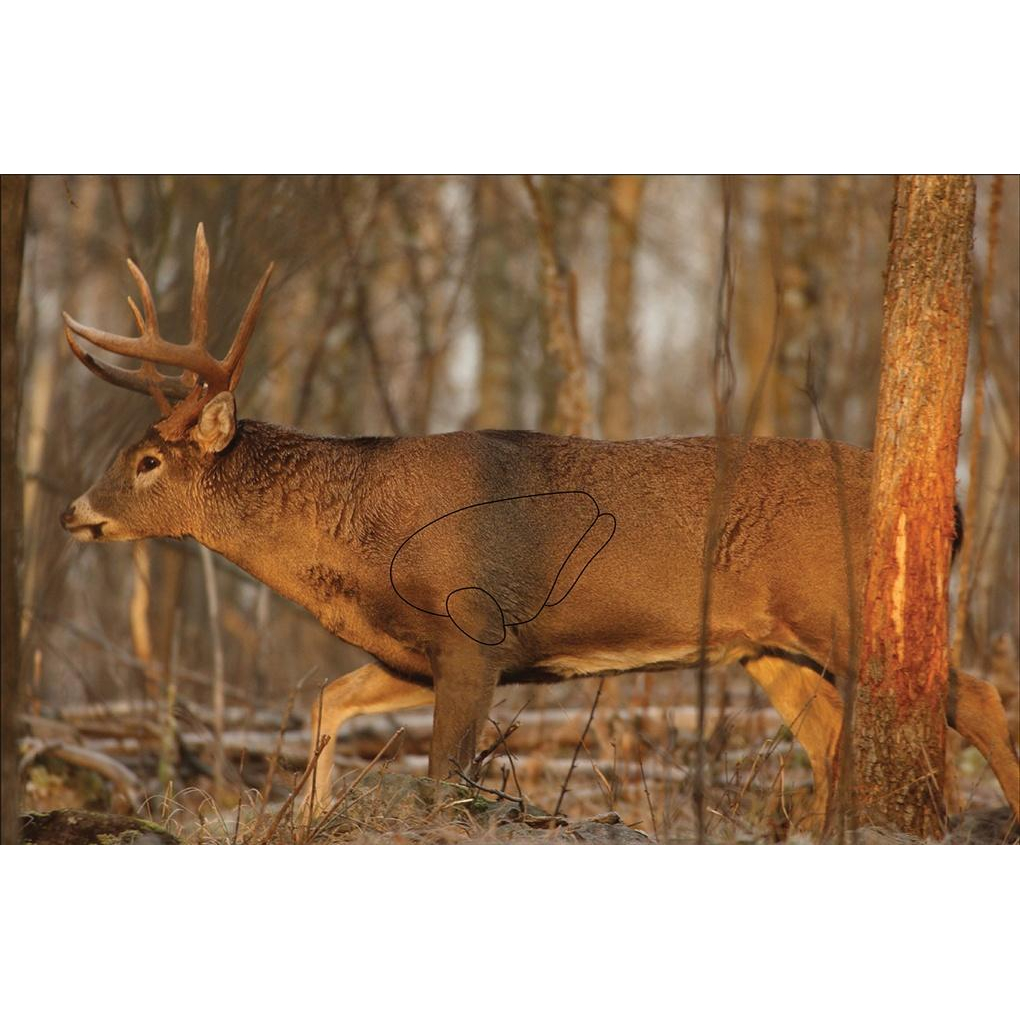 Birchwood Casey Eze-scorer Whitetail Deer 23X35 2-PK Targets