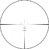 Bur Fullfield Iv 3-12X42MM 1IN