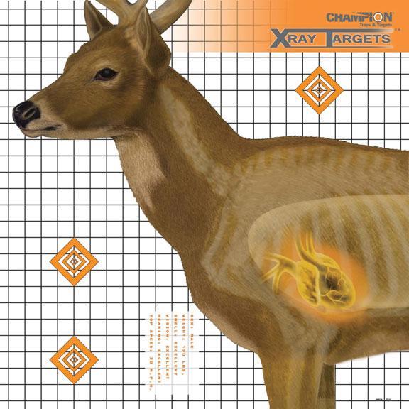 Champion Deer X-ray Target 25X25 6-PACK