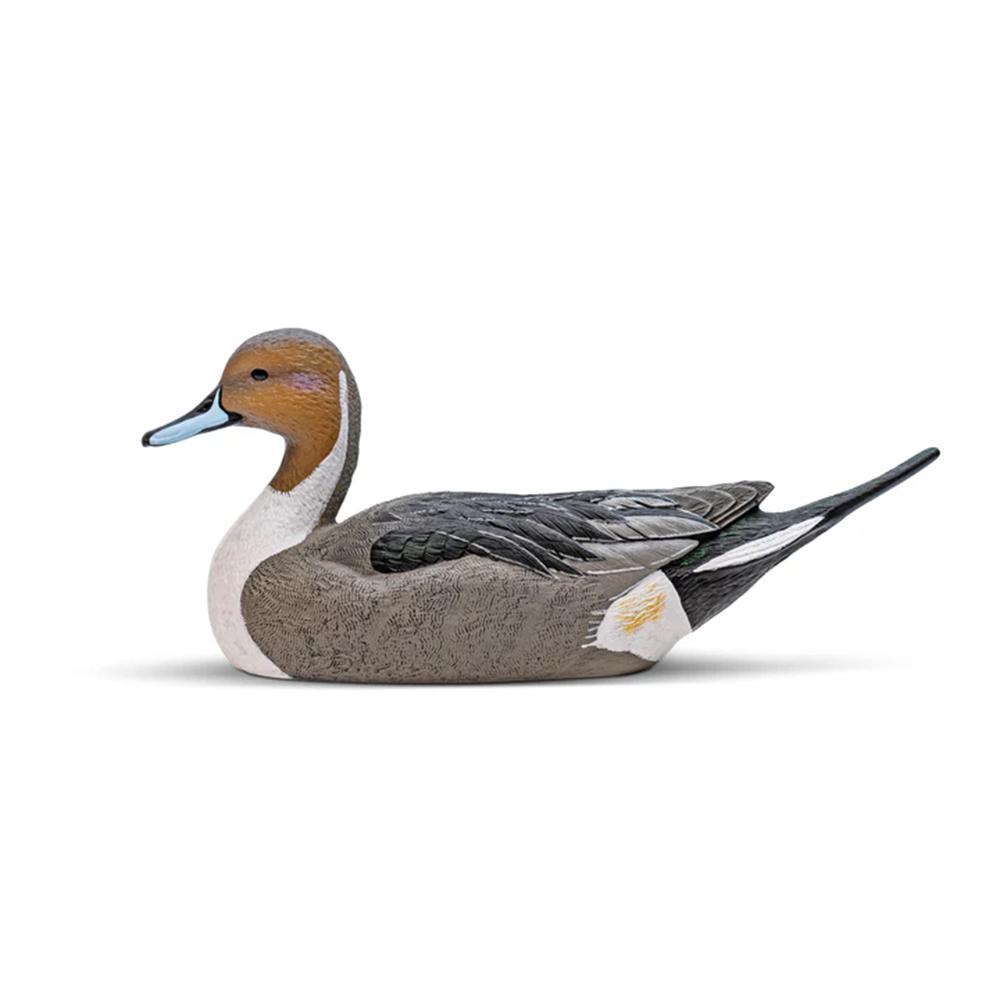 Pintail Decoy Six-pack Eva