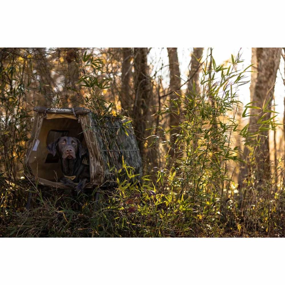 Higdon Invisi-lab Mossy Oak Original Bottomland Dog Blind - Image 2
