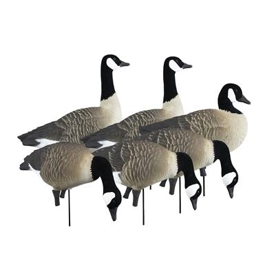 Higdon Outdoors Apex Full-size Full-body Canada Goose Decoy Pack