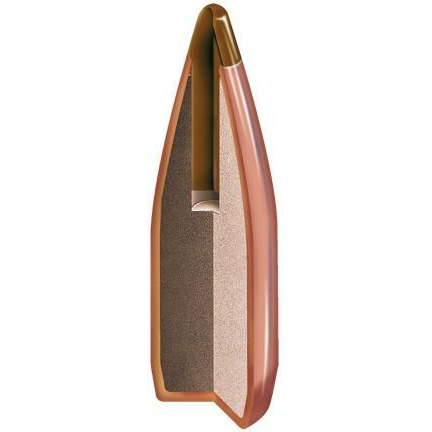 Hornady Ntx 22 Caliber 35GR 100 Round Ammunition