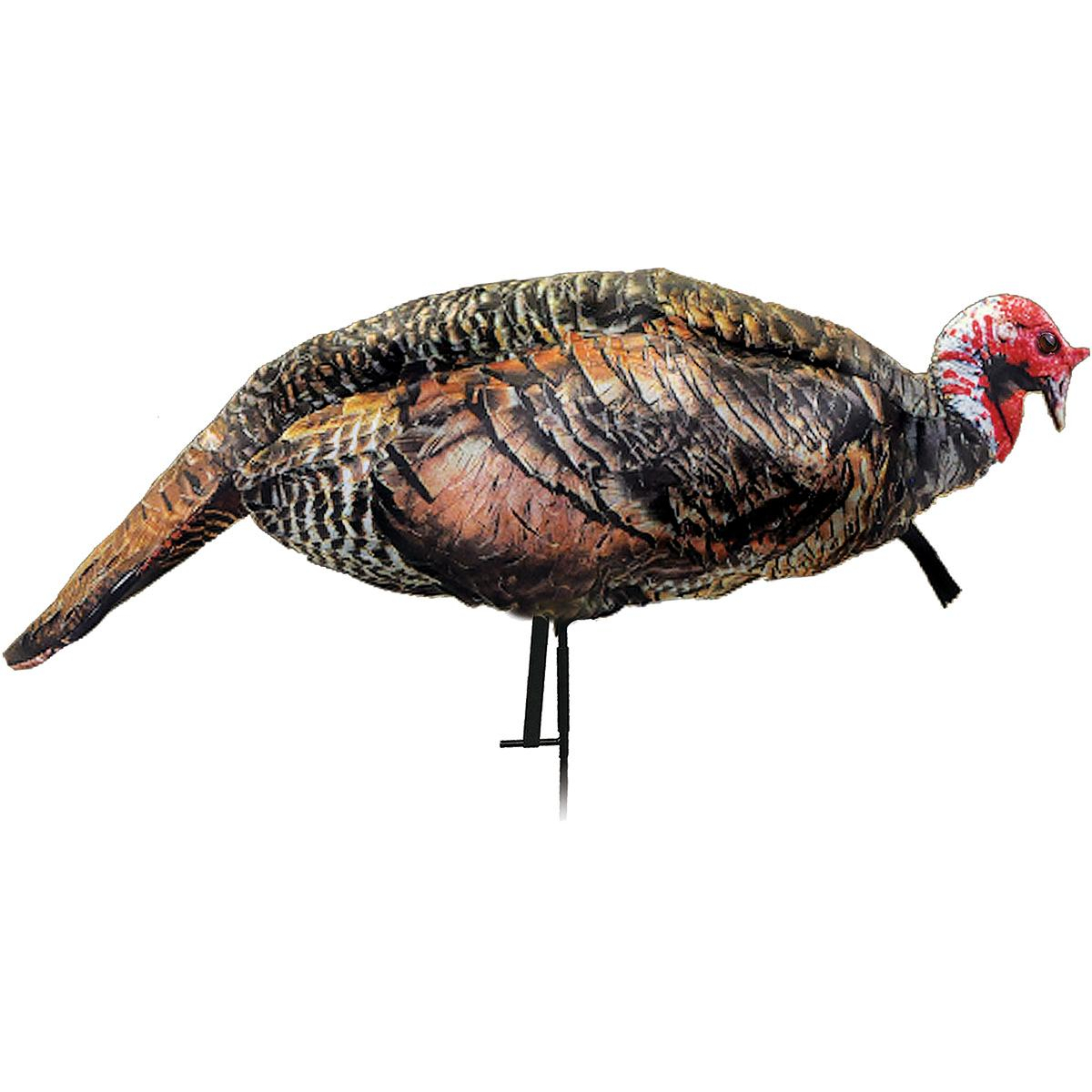 Montana Decoy Jake Purr-fect Xd 3D Turkey Decoy