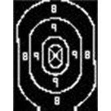 Speedwell B-27 Center 12.5 X 19 Paper Targets - 500 Count