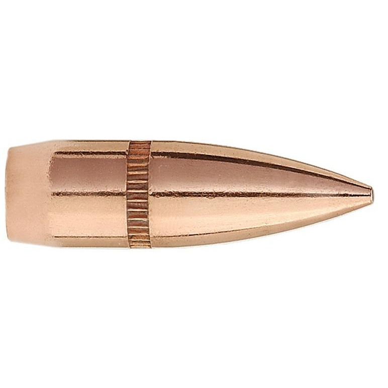 Sierra Gameking 22 Cal 55GR Fmjbt 100