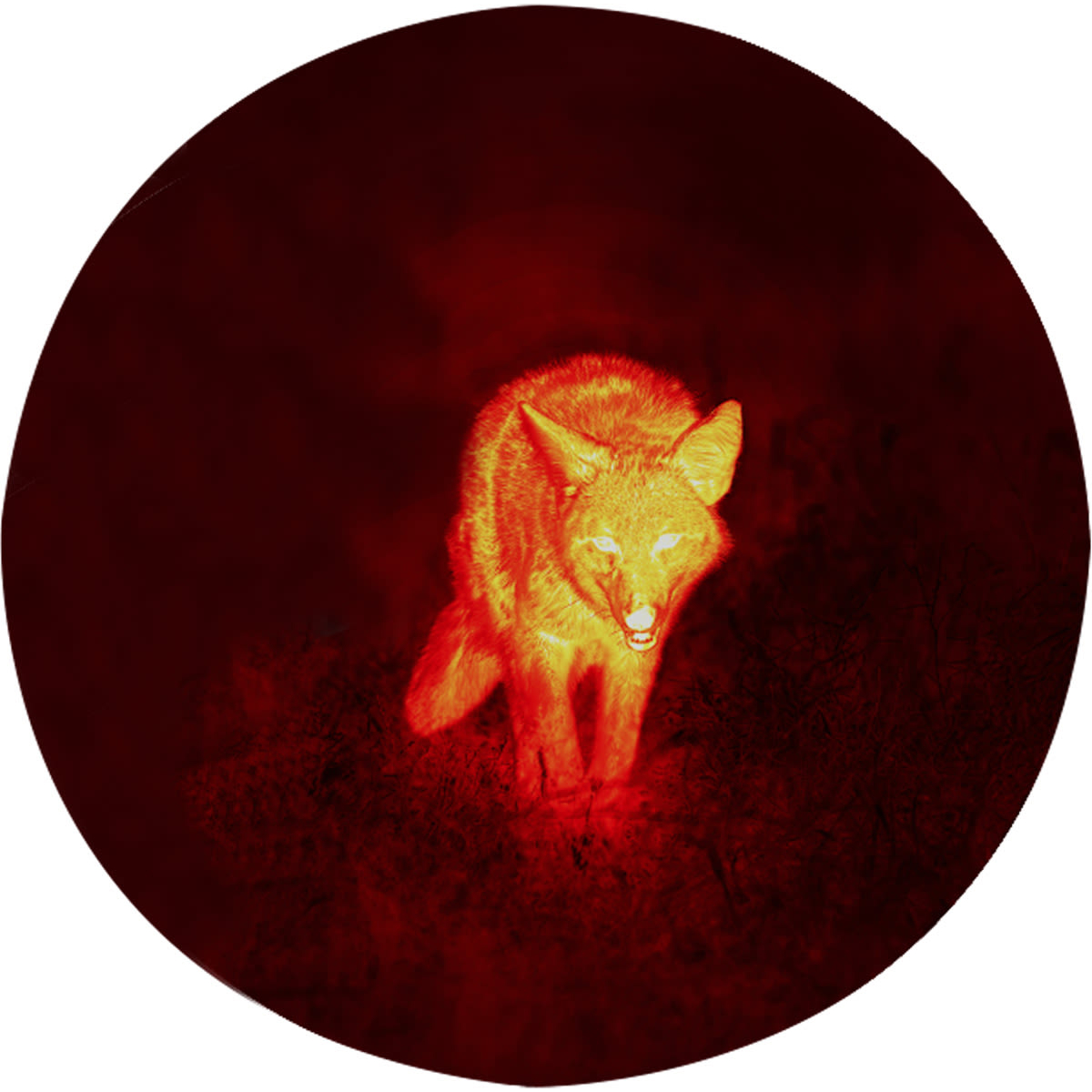 Atn Blazehunter Xd 2-16X Thermal Monocular With Lrf - Image 3