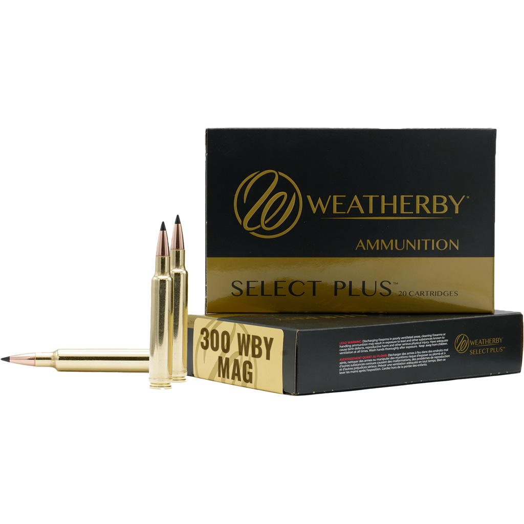 Weatherby 300 Wby 170 Gr. Hammer Custom Ammo 20 Rd.