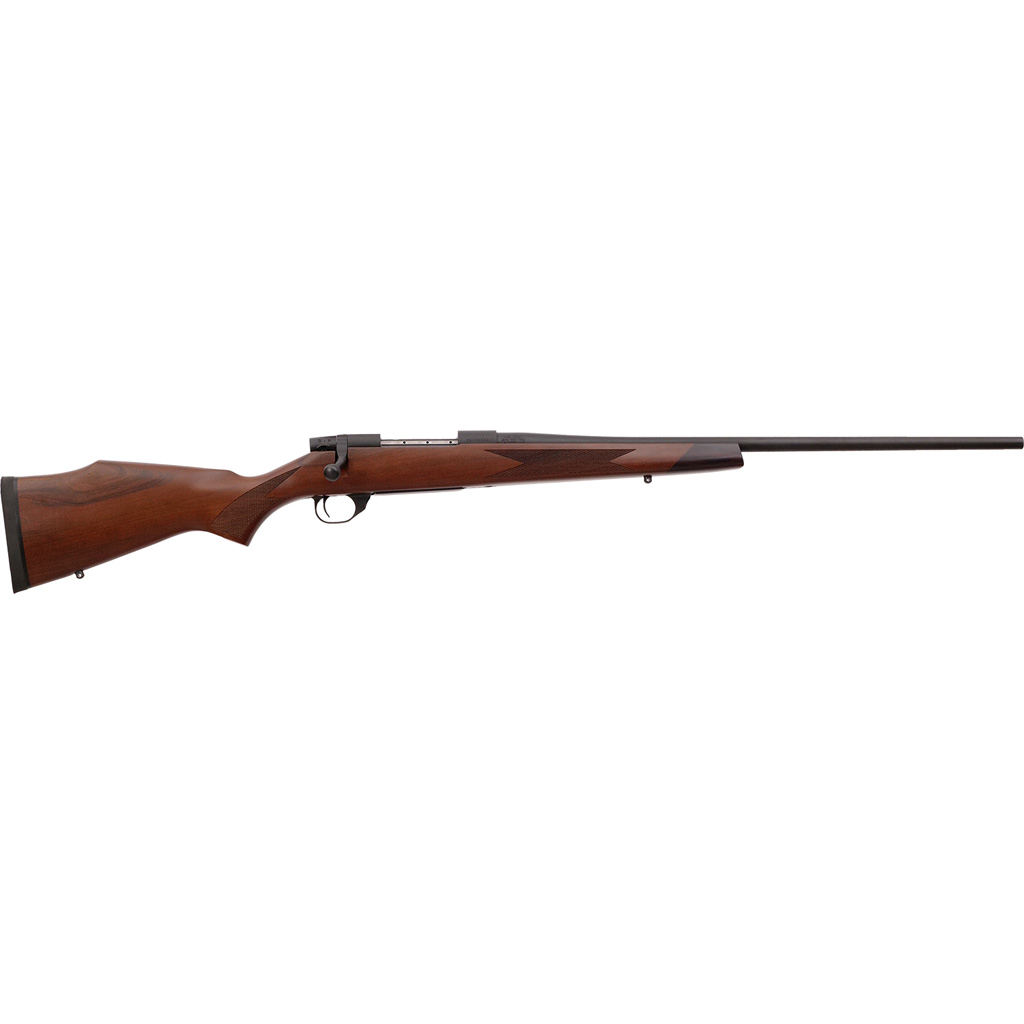 Wby Vgd S2 Sprt Ba 223 24TB