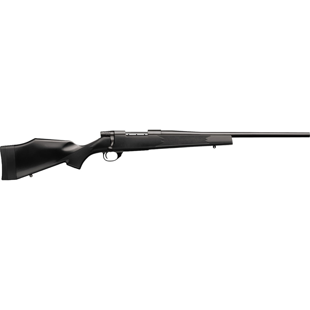 Wby Vgd S2 Com Ba 22-250 20TB