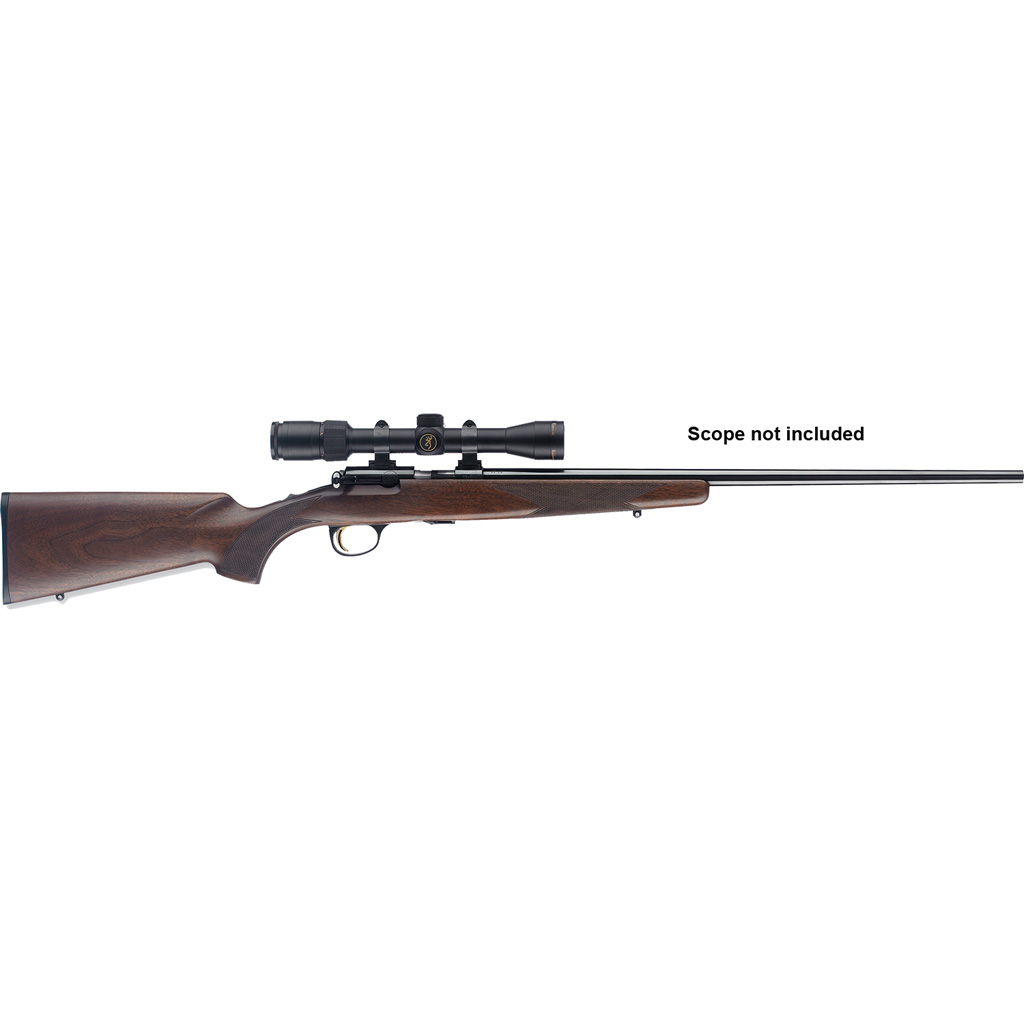 Brn T-bolt Sprtr Rfl 17HMR B