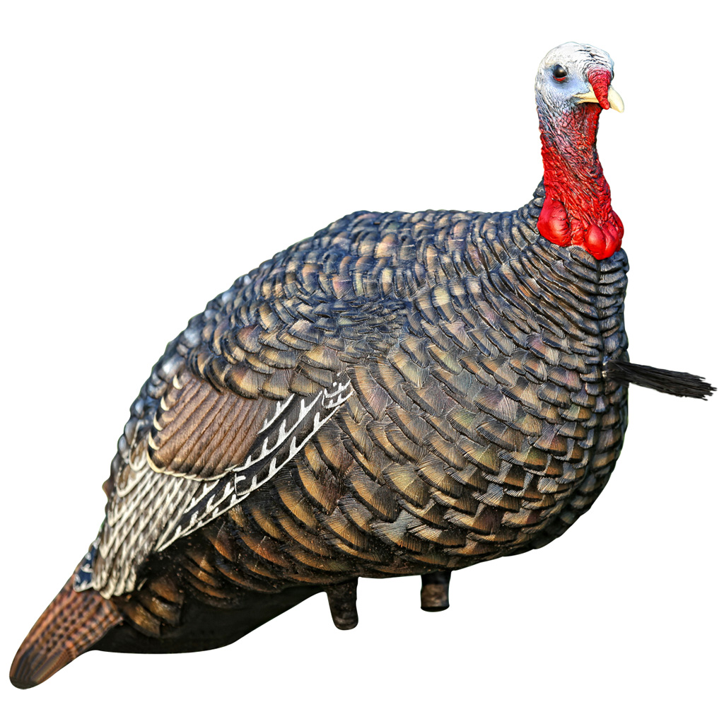 Avian X Lcd Quarter-strut Jake Turkey Decoy