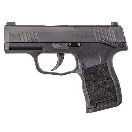 Sig P365 Nit Pst 380 10R Ns Ms