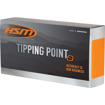 Hsm 6MM Arc 95GR Sst 20RD Box 25 Boxes Per Case