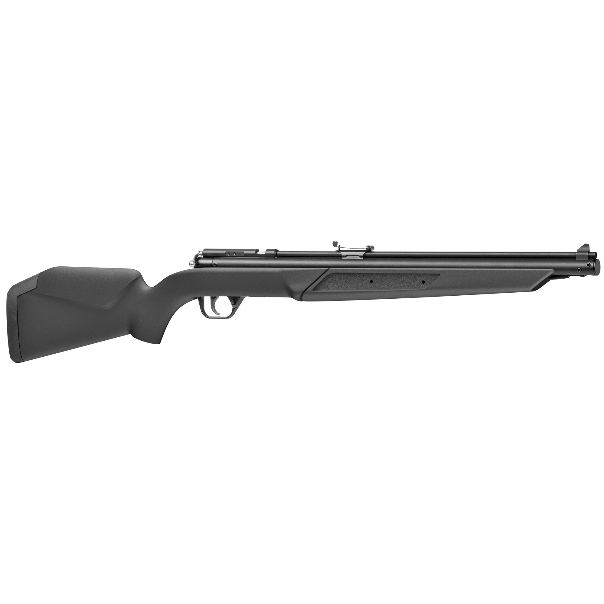 Benjamin .177 Pellet Rifle Pump Action Black