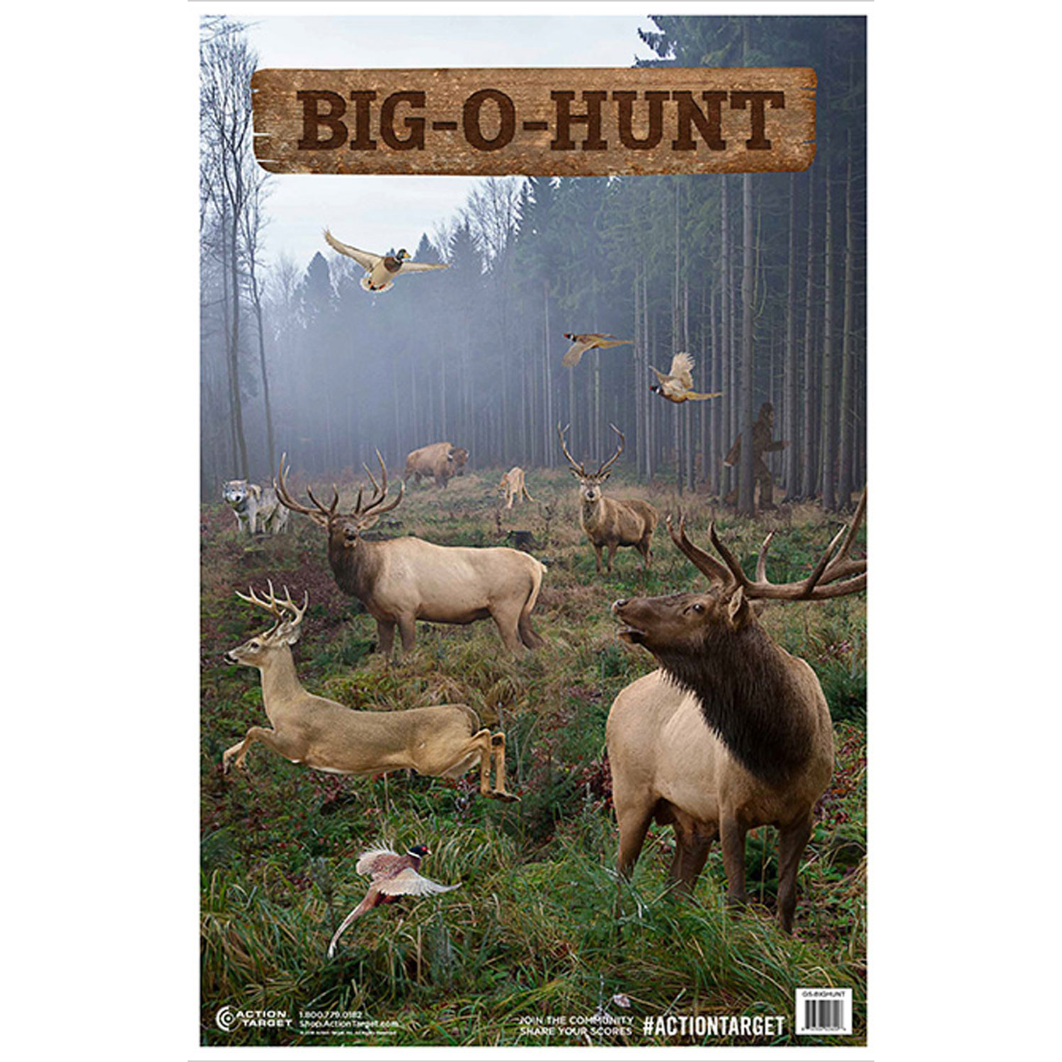 Action GSBIGHUNT100 Big O Hunt 100BX
