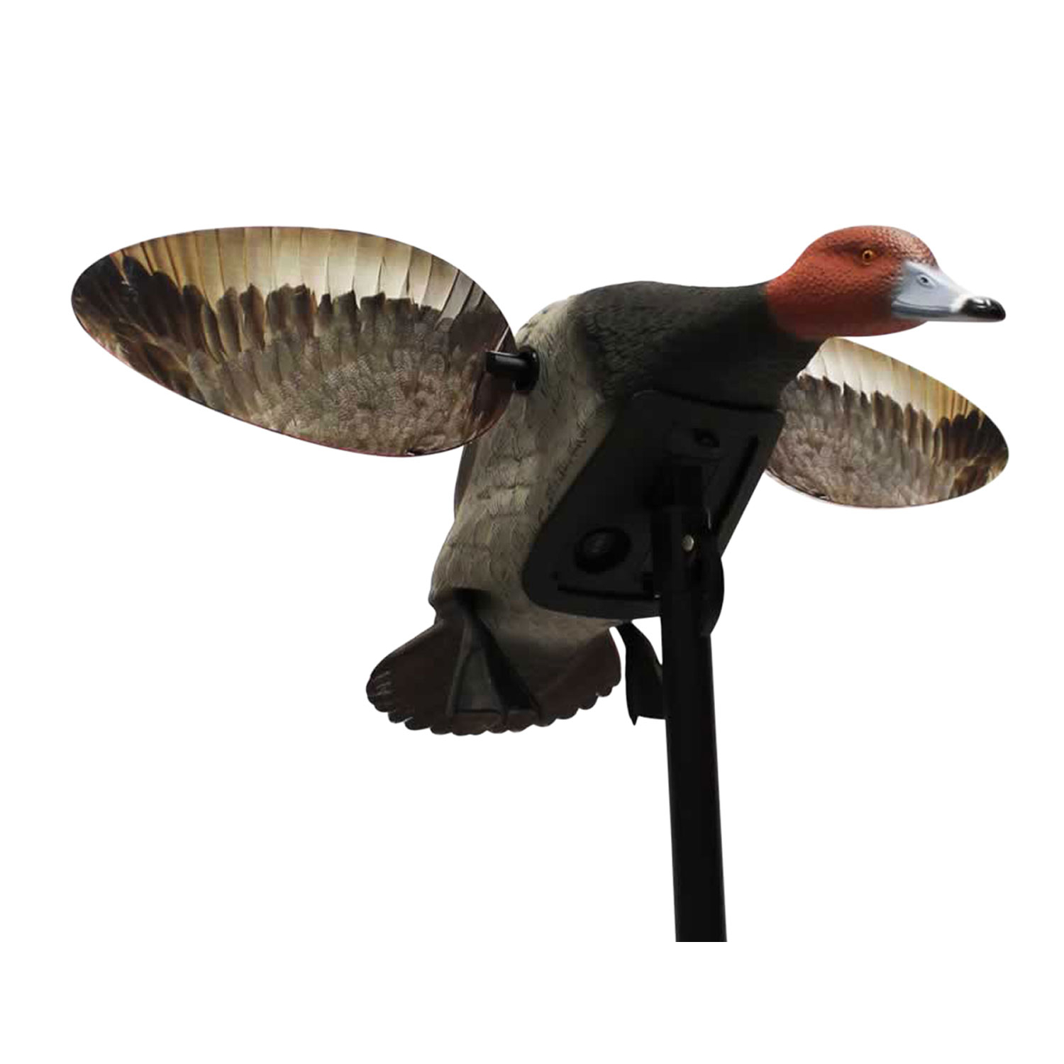 Mojo HW2492 Elite Series Diver Redhead Decoy