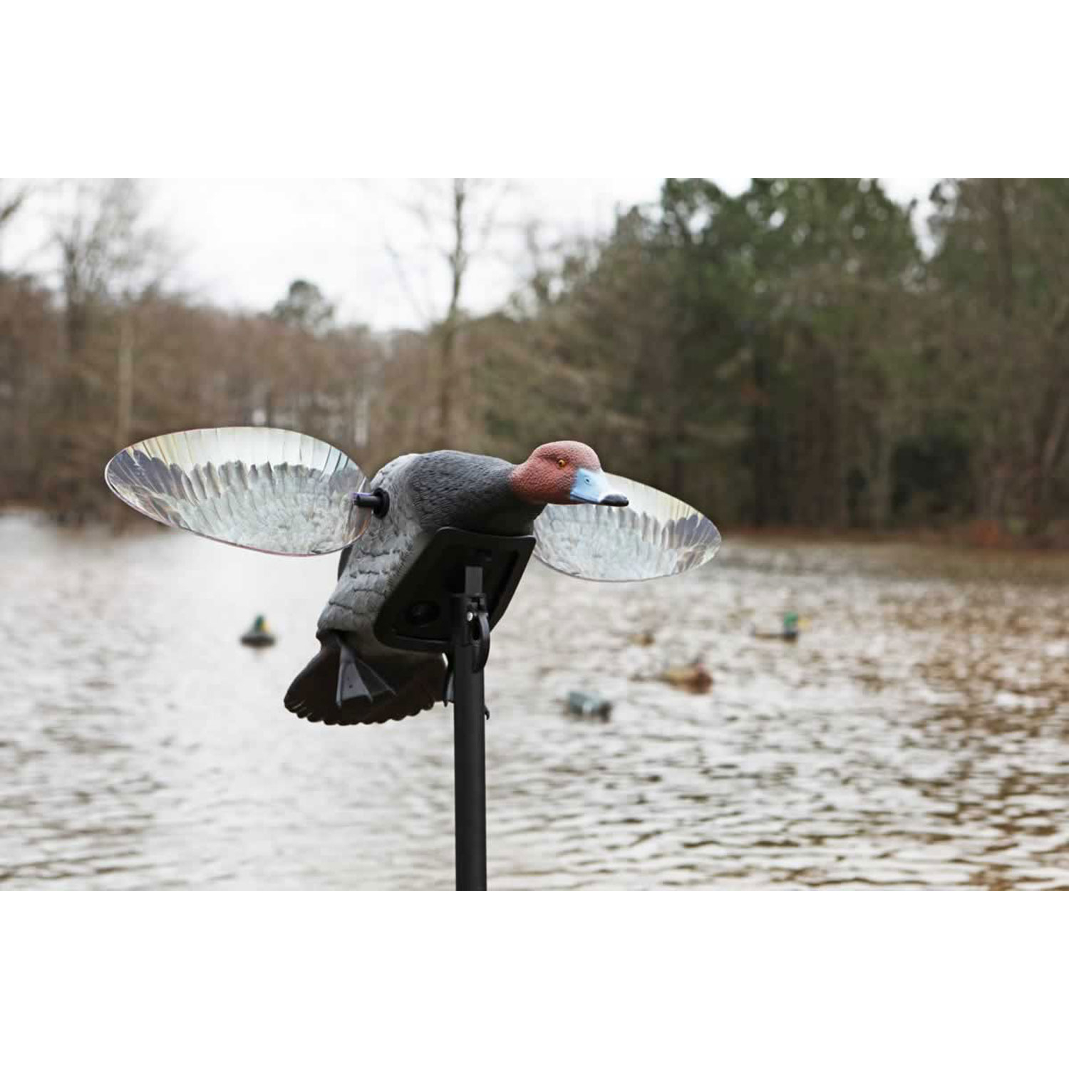 Mojo HW2492 Elite Series Diver Redhead Decoy - Image 2