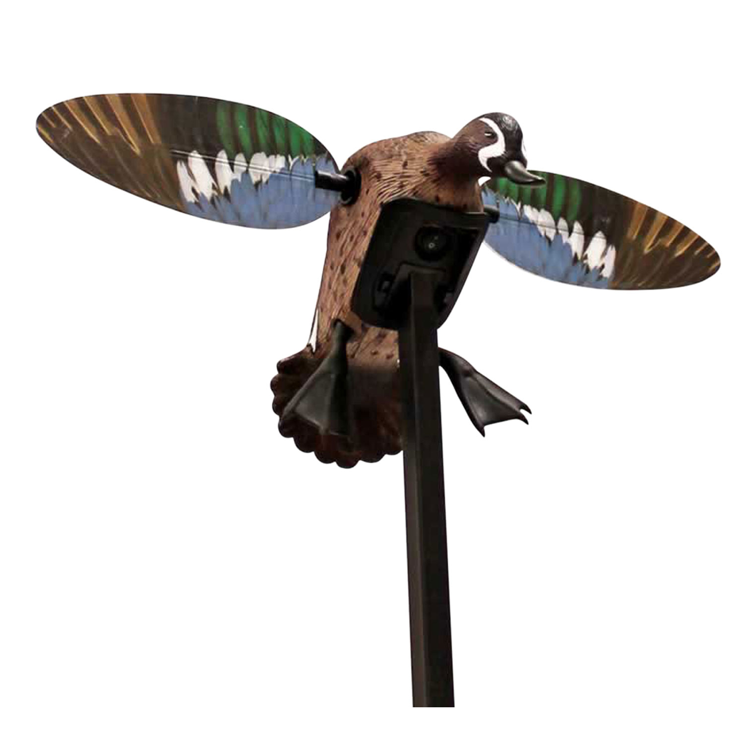 Mojo HW2475 Elite Series Blue Wing Teal Decoy