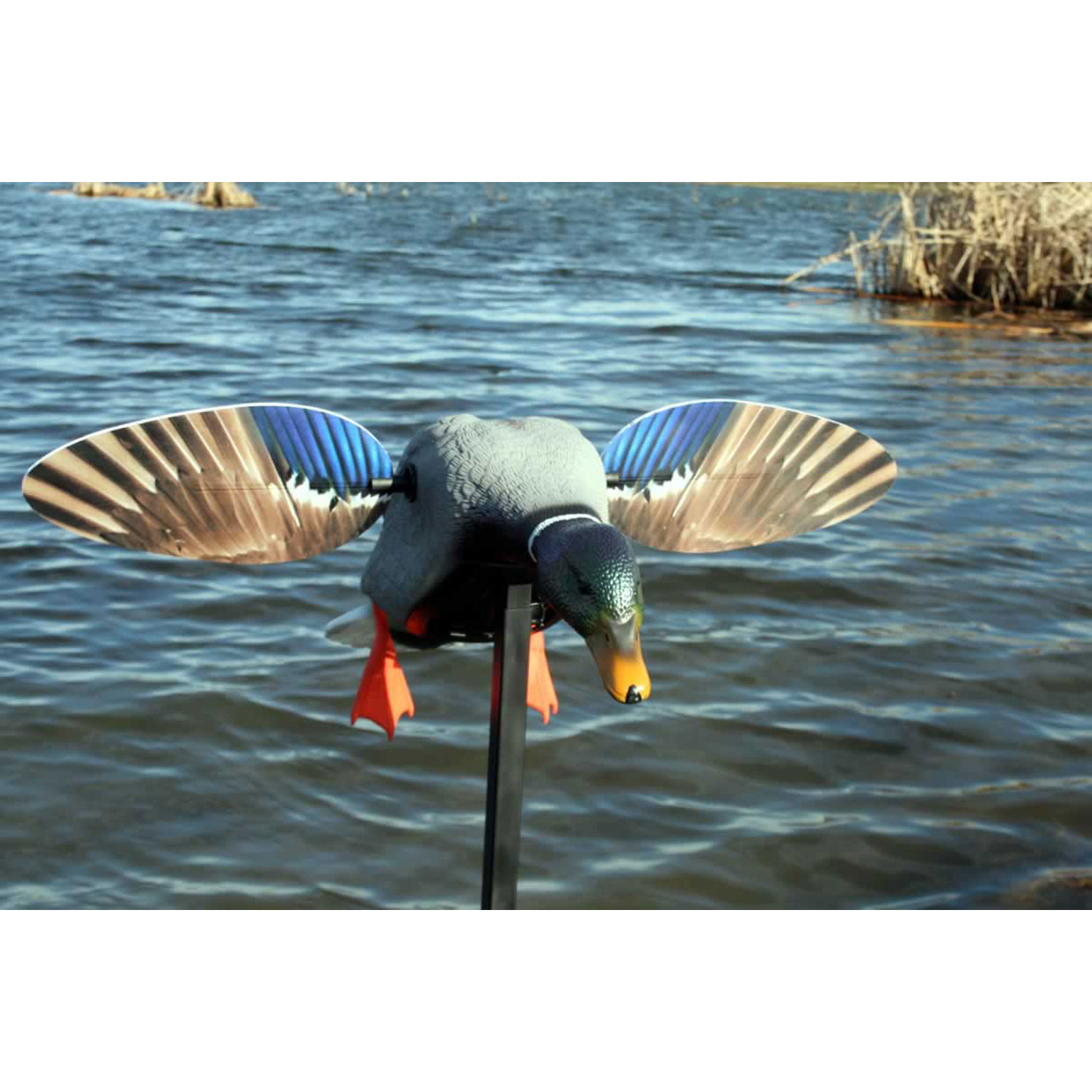 Mojo HW2487 Mini Mallard Drake W/remote - Image 2