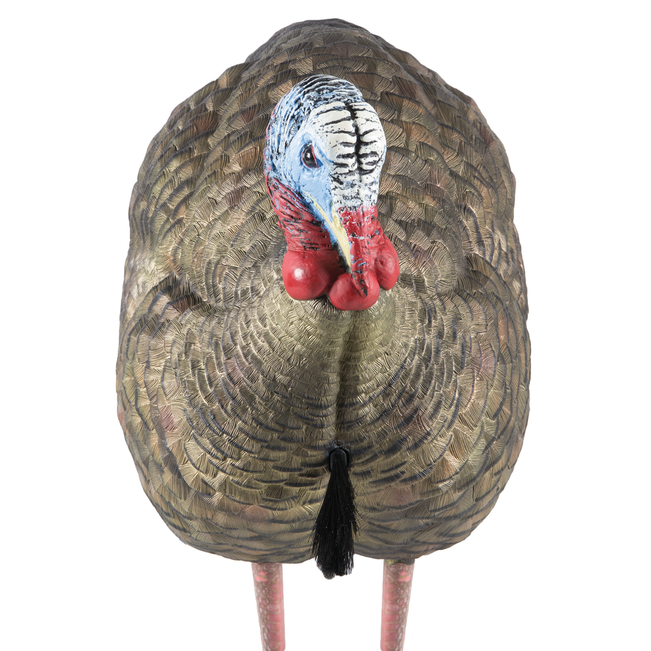 Avian X Lcd Half-strut Jake Turkey Decoy
