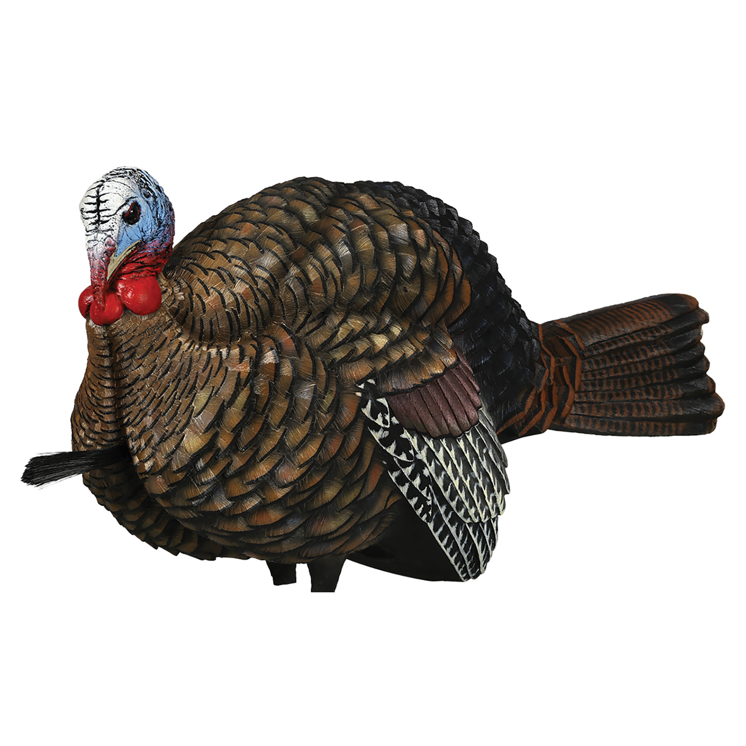 Avian X Lcd Half-strut Jake Turkey Decoy - Image 2