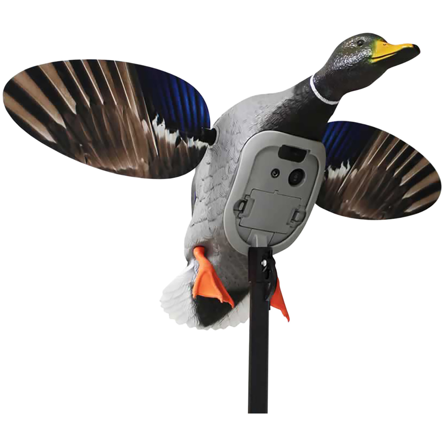 Mojo HW2520 Elite Series King Mallard Multi-color Plastic