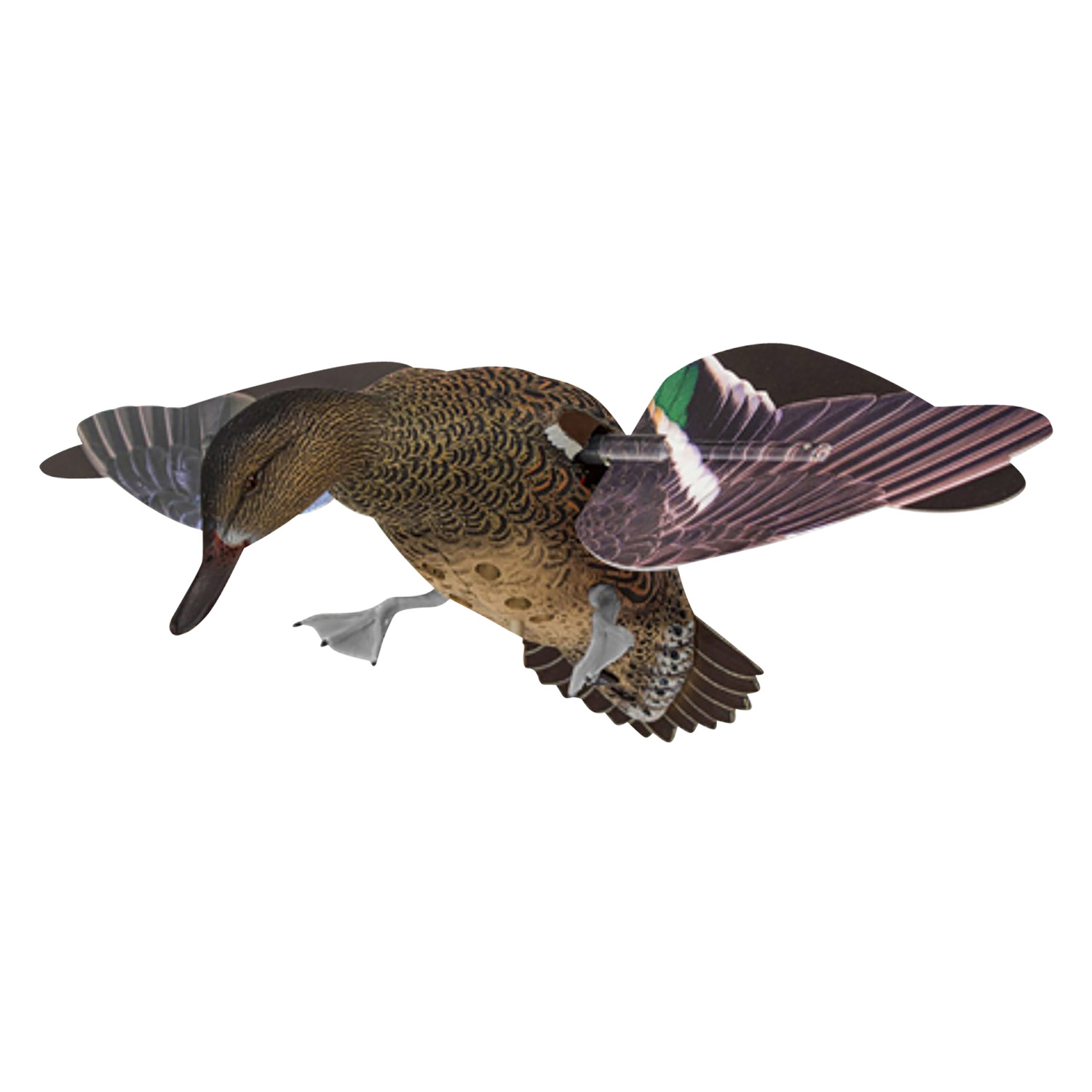 Avian X Powerflight Hen Green Wing Teal Decoy