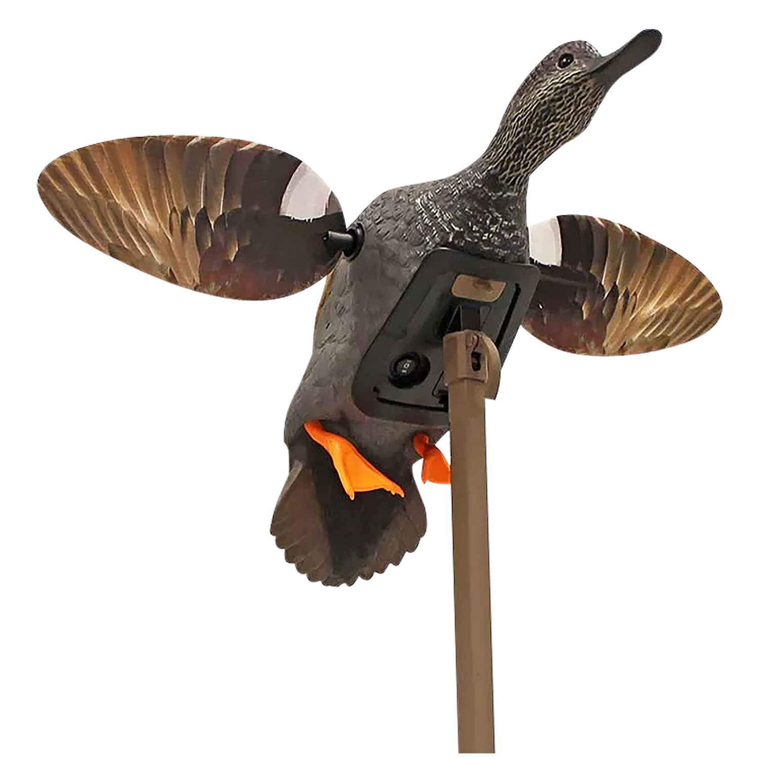 Mojo HW2473-3P Elite Series Gadwall Multi-color