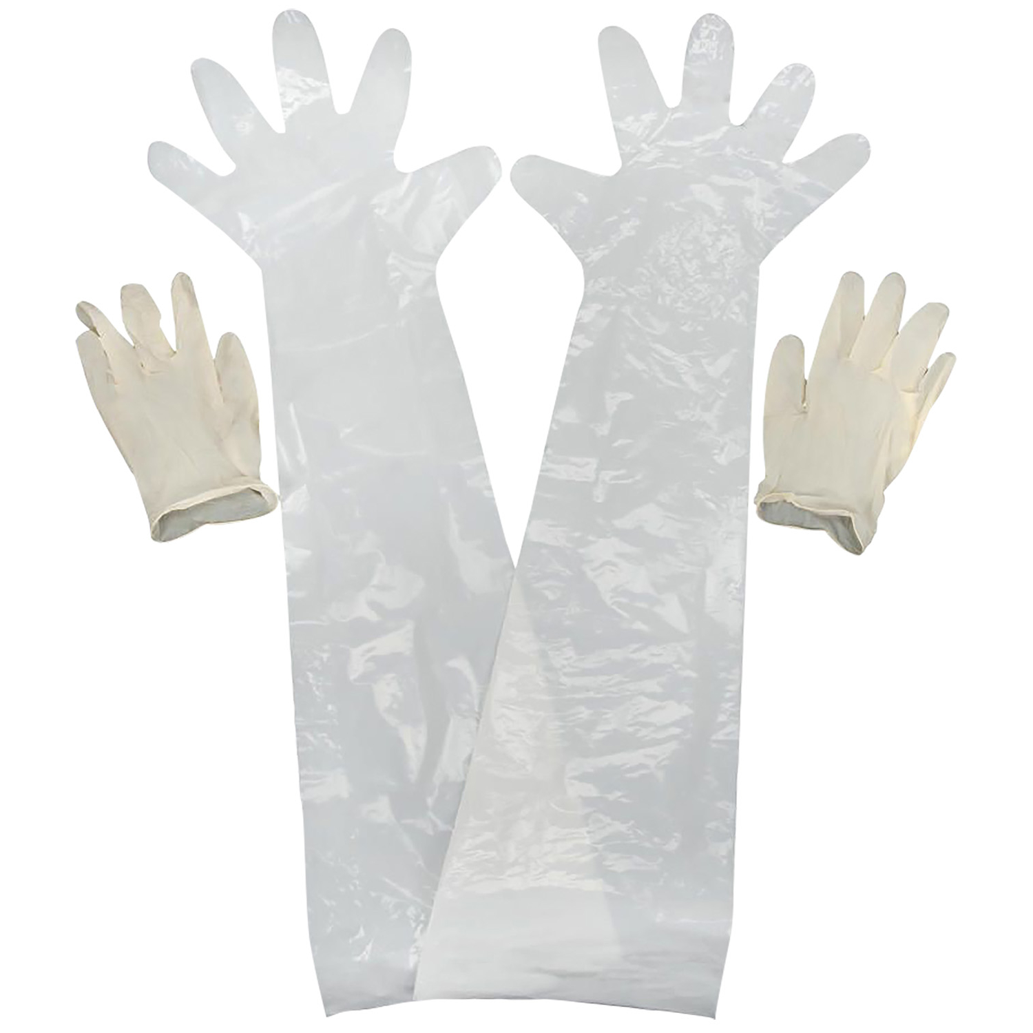 Allen Field Dressing Gloves 2-PAIR - Latex, Clear