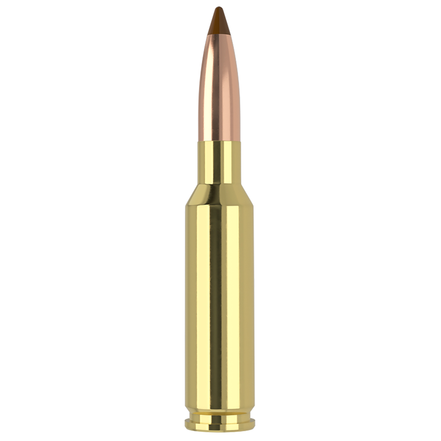 Nosler Ballistic Tip Rifle Ammunition 6.5X55 S Mauser 140 Gr. 20 Rd.