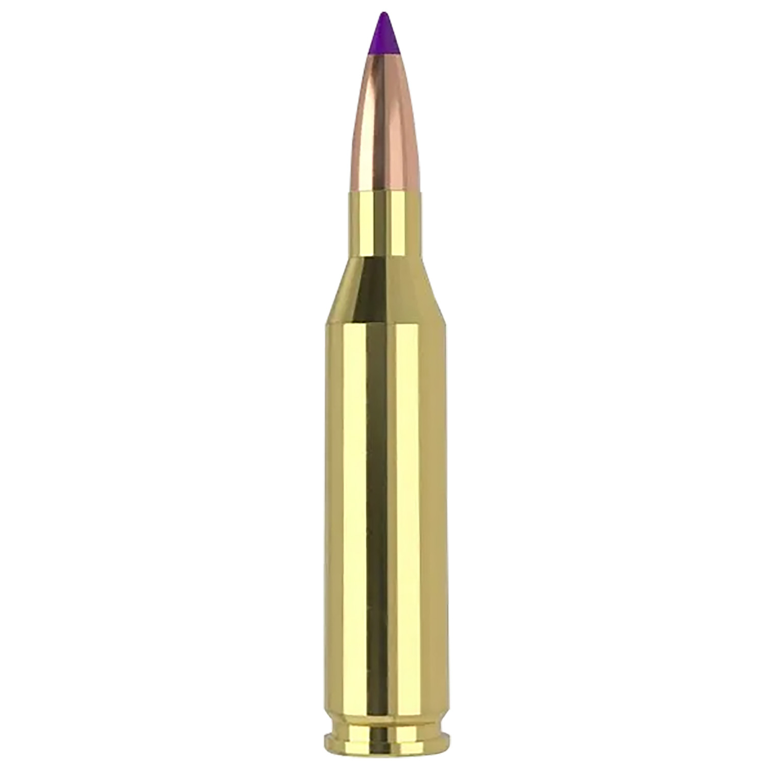 Nosler Ballistic Tip Rifle Ammunition 243 Win 70 Gr 20 Rd