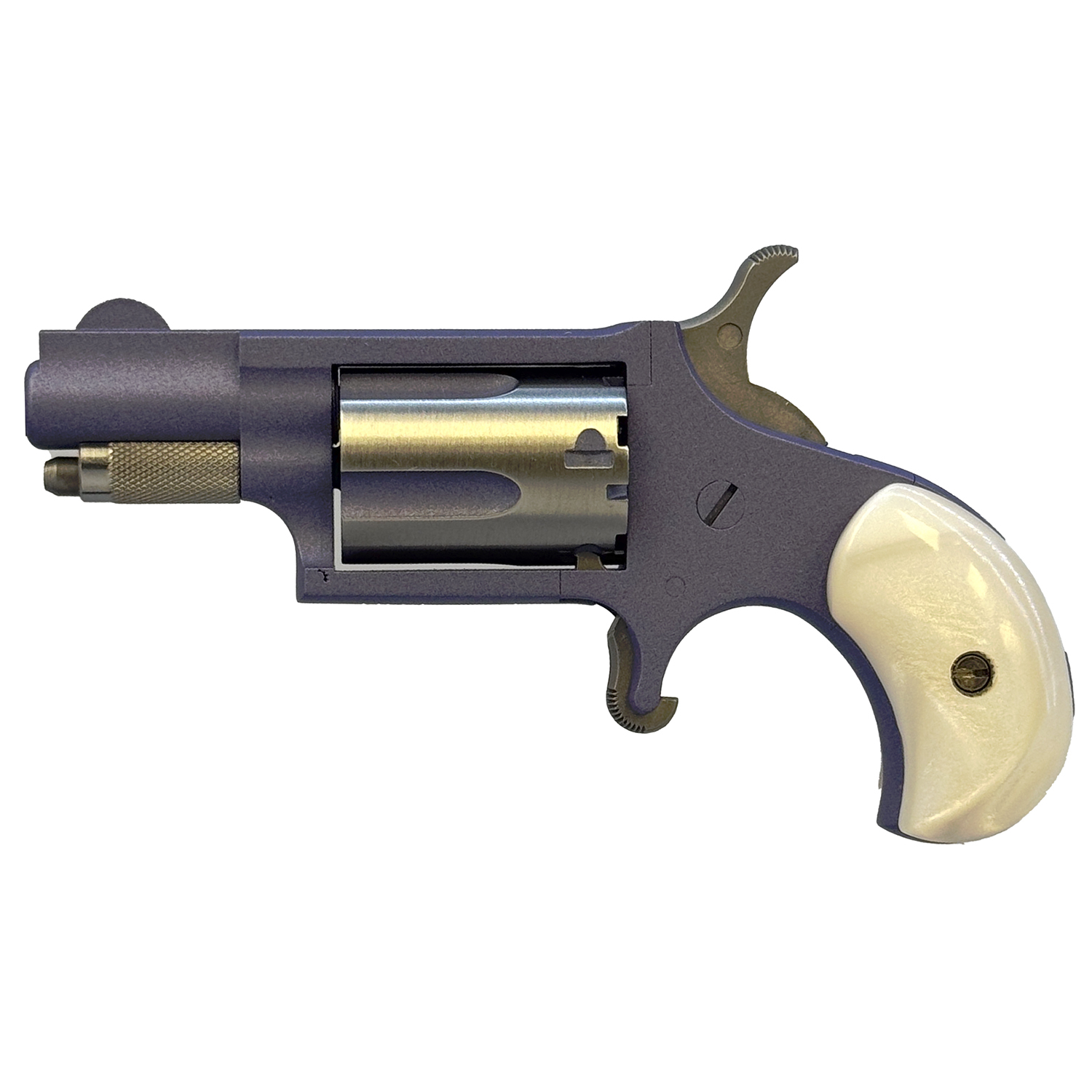 Nam Mini-rev 22LR 1125SS Orcd