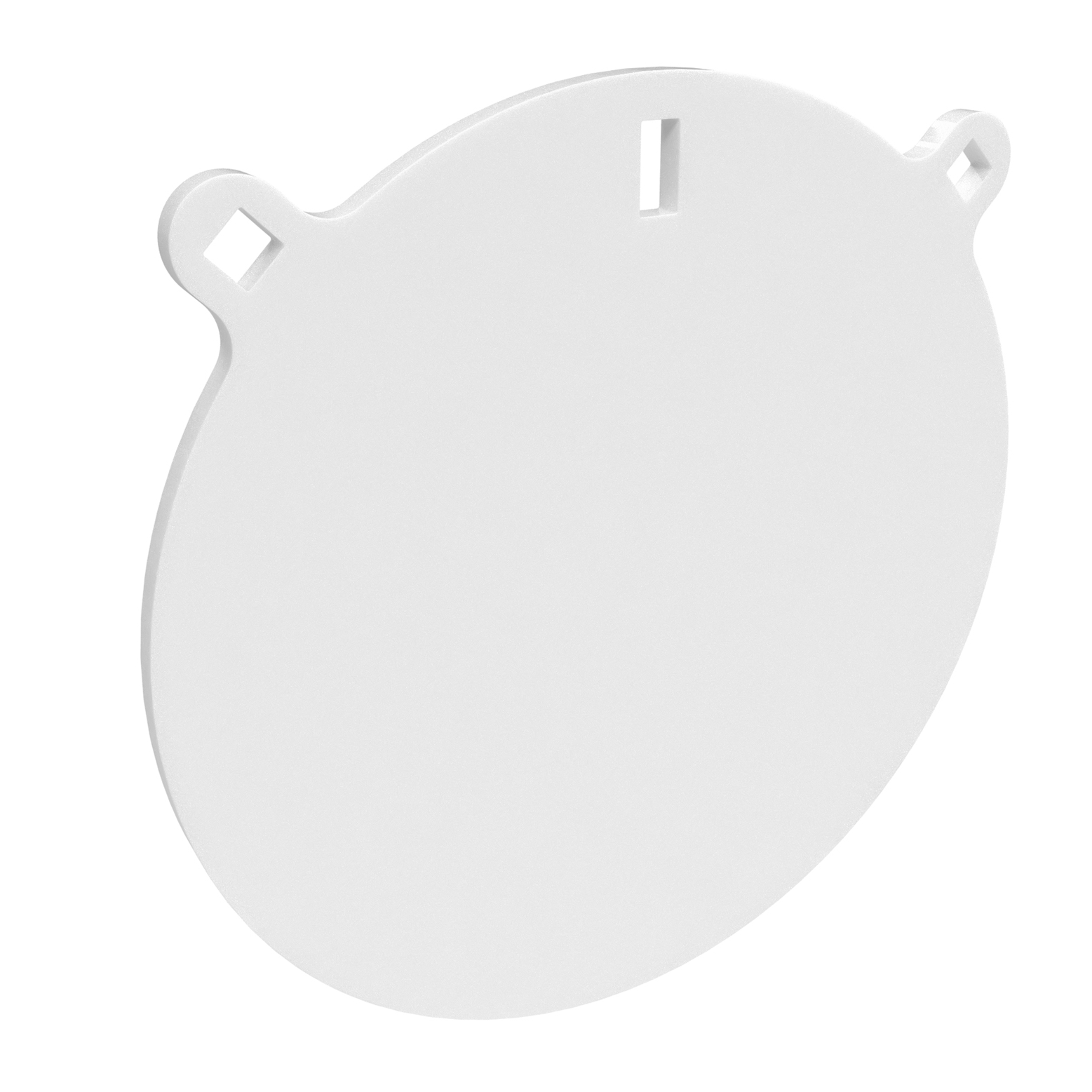 Birchwood Casey AR500 10 Round Steel Target